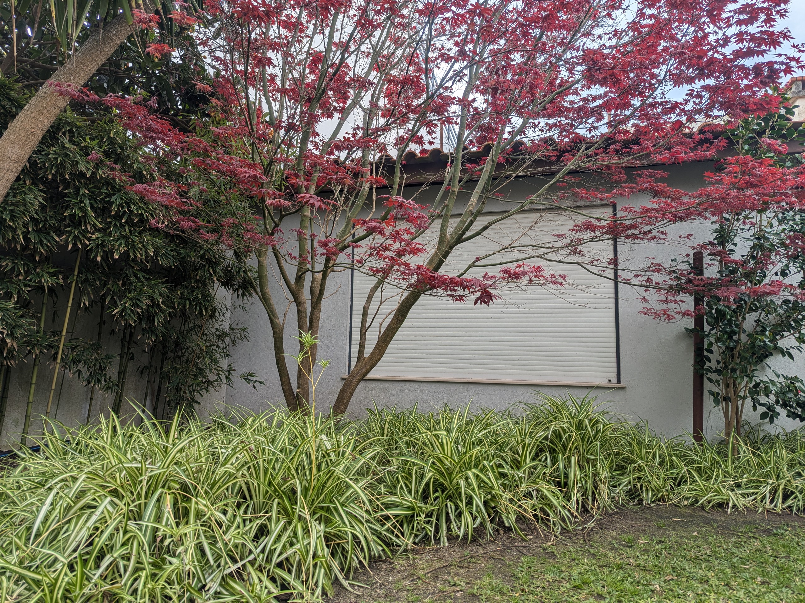 Vendo Empresa de Jardinagem em Lisboa (Altamente Lucrativa)