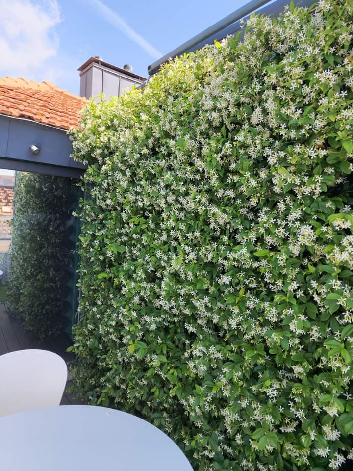 Vendo Empresa de Jardinagem em Lisboa (Altamente Lucrativa)